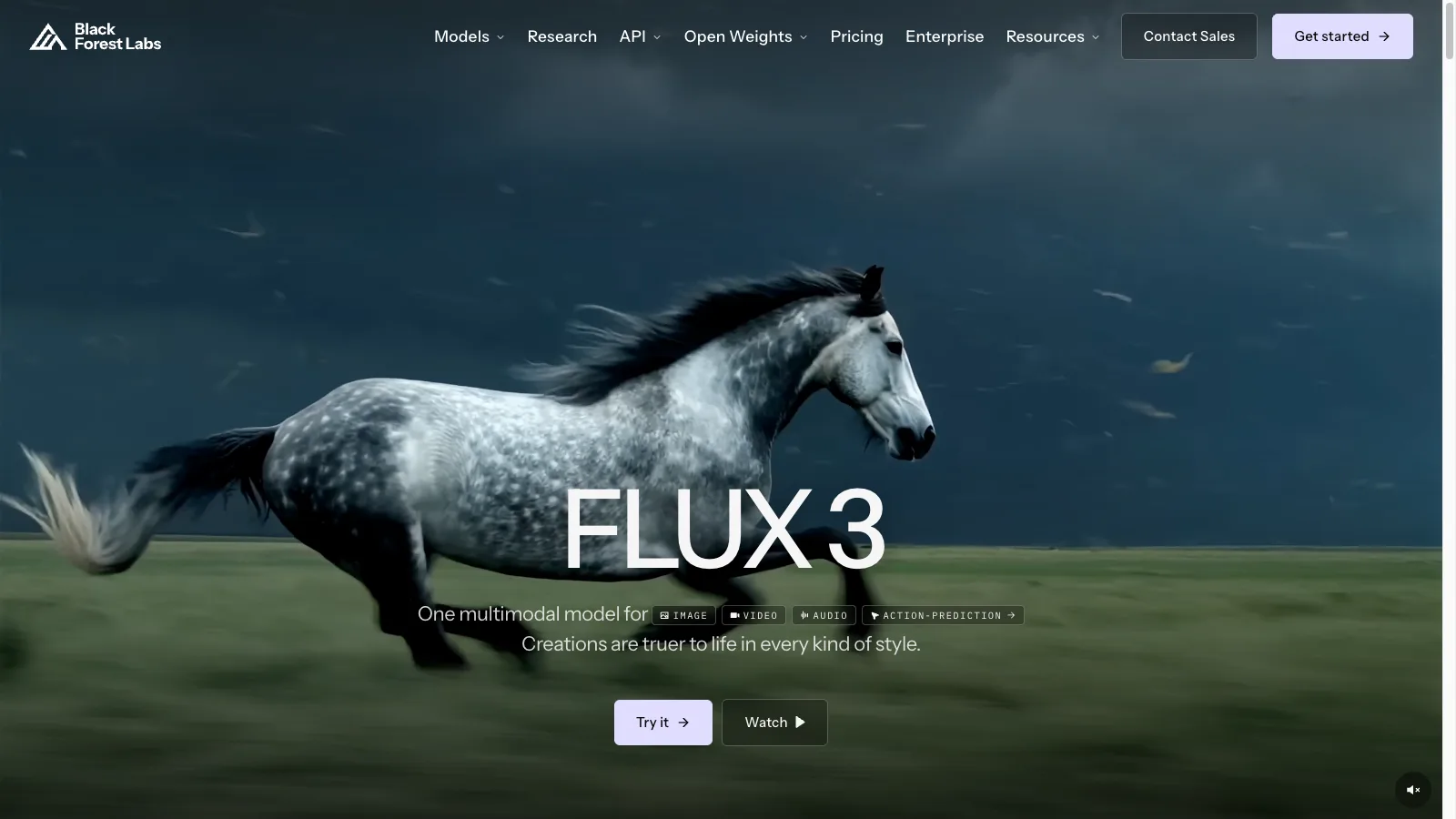Die FLUX 3 Produktseite von Black Forest Labs mit dem Hero-Video des Modells